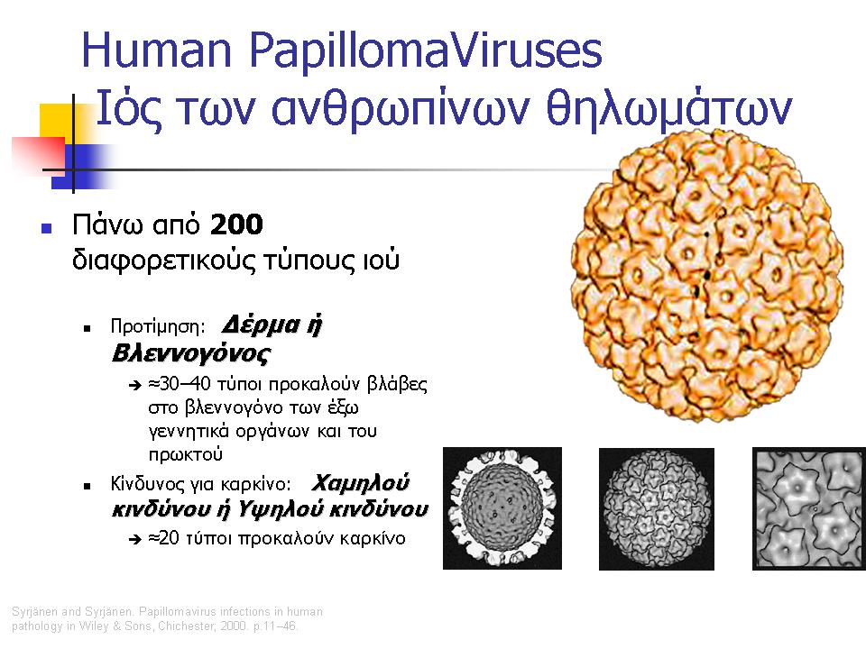 o ιός HPV